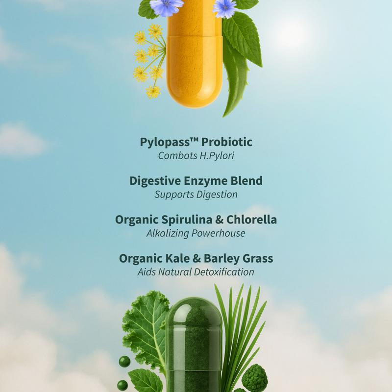 Gut Health Bundle - Snap Supplements - Gut Health + Spirulina & Chlorella - Natural Supplement Bundle Prebiotics Probiotics Dietary