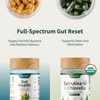 Gut Health Bundle - Snap Supplements - Gut Health + Spirulina & Chlorella - Natural Supplement Bundle Prebiotics Probiotics Dietary